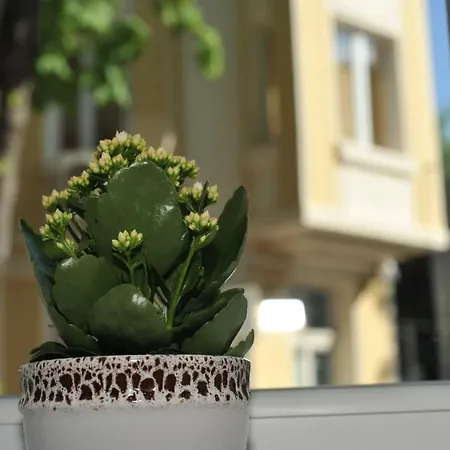 New & Cosy One Bedroom In Center شقة *